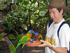 CairnsTC171 Cairns Tropical Zoo